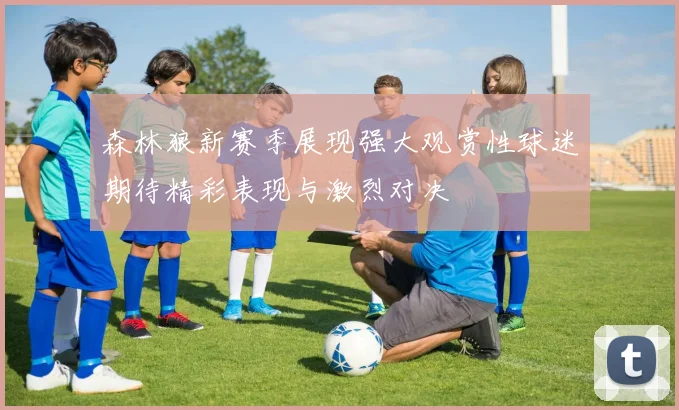 森林狼新赛季展现强大观赏性球迷期待精彩表现与激烈对决